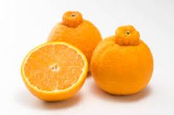 Sumo oranges